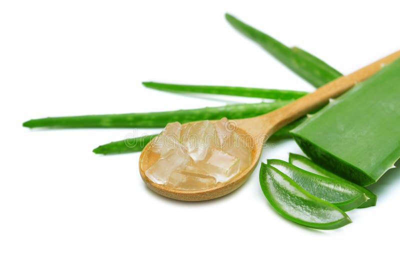 Aloe vera gel on wooden spoon.