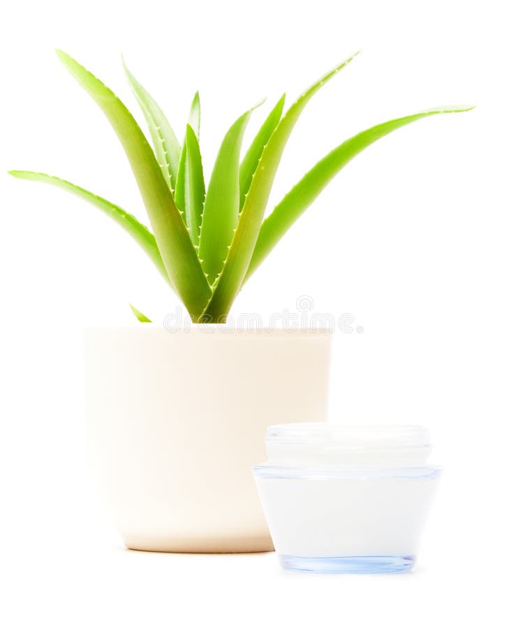 Aloe Vera Moisturizer stock photo. Image of green, vera 94262540