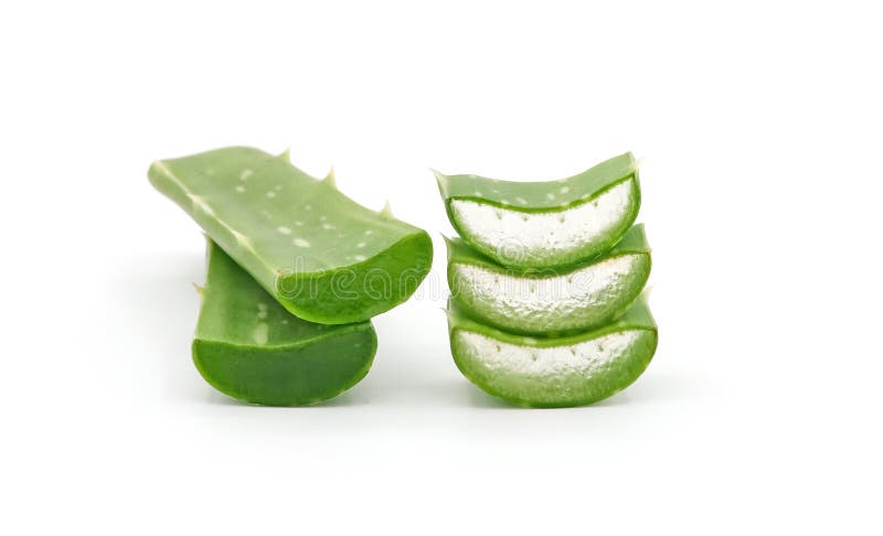 aloe vera arkivbilder aloe vera arkivbilder
