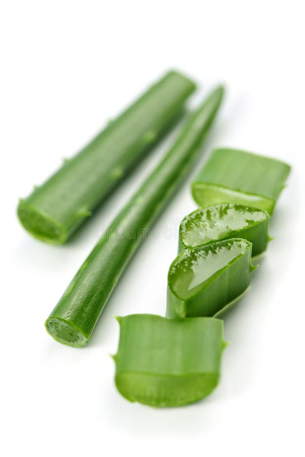 Aloe vera plant pieces