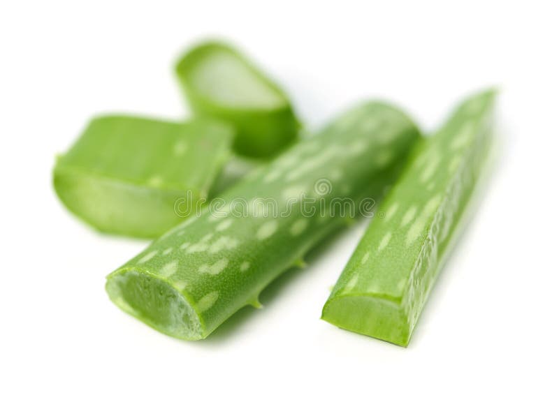 Aloe vera plant pieces