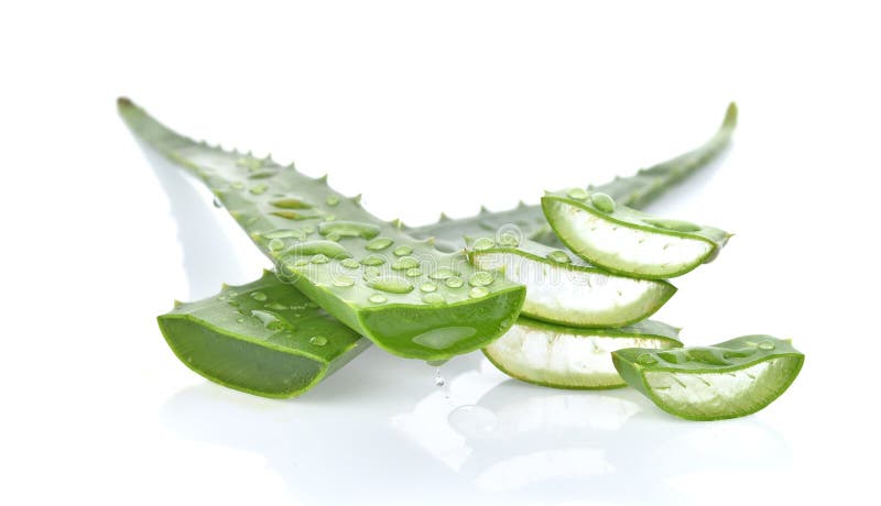 Aloevera nytt blad som isoleras på vit bakgrund royaltyfria bilder Aloevera nytt blad som isoleras på vit bakgrund royaltyfria bilder