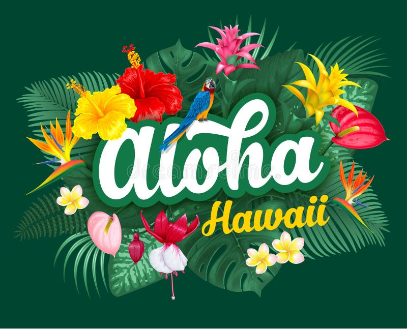 Aloha Hawaii-Beschriftung und tropische Anlagen stock abbildung Aloha Hawaii-Beschriftung und tropische Anlagen stock abbildung