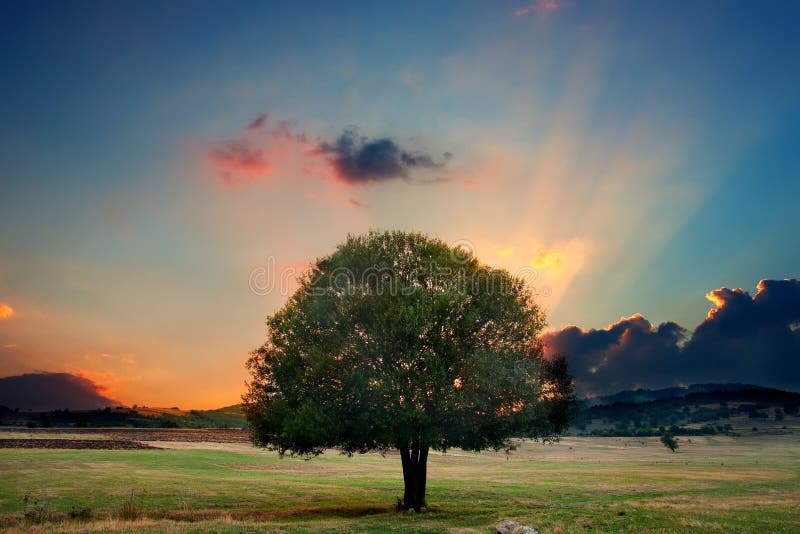 HDR sunset stock image