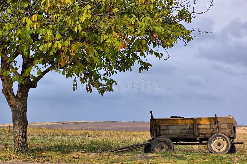 Alone wagon