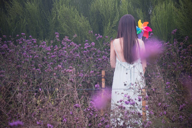 Alone woman holding rainbow windmills in verbena flower garden royalty free stock images Alone woman holding rainbow windmills in verbena flower garden royalty free stock images