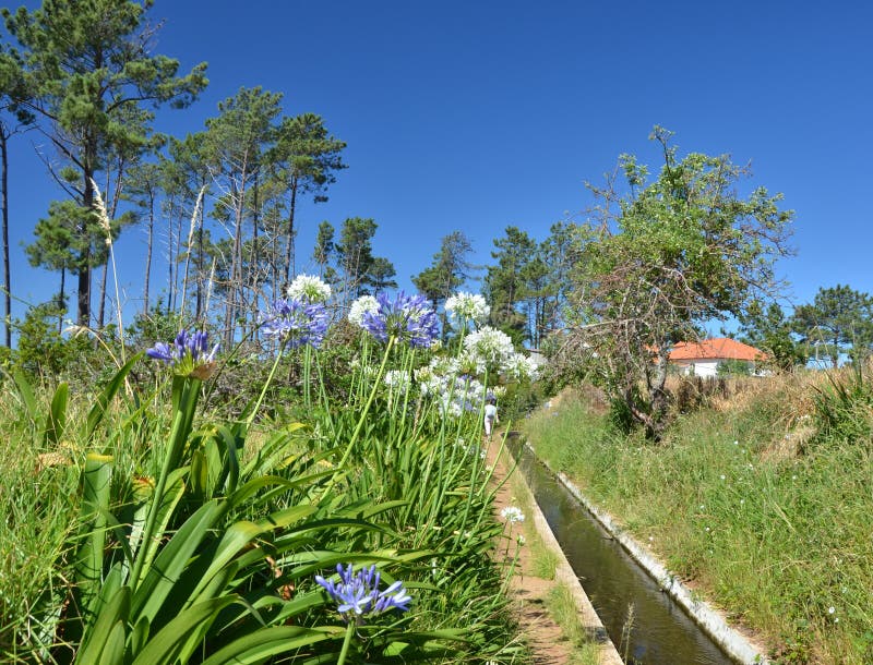 Hiking the levadas, Madeira