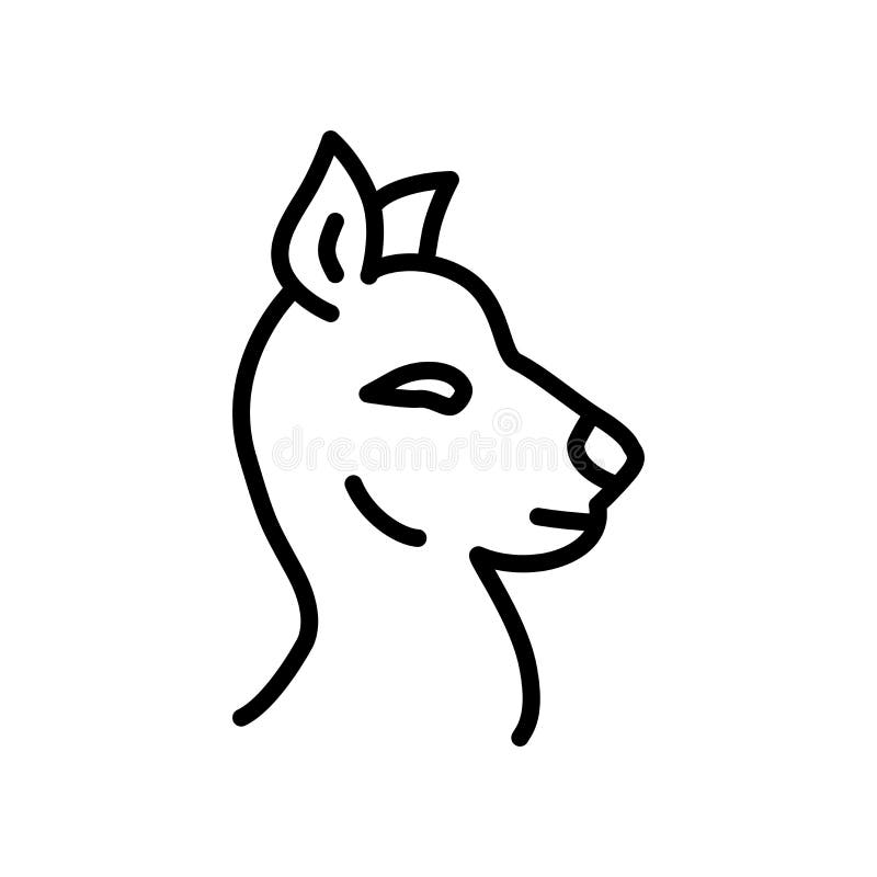 Alpaca, Isolated, Animal, Nature, Mammal - Lama Face, HD Png Download -  960x640(#888659) - PngFind