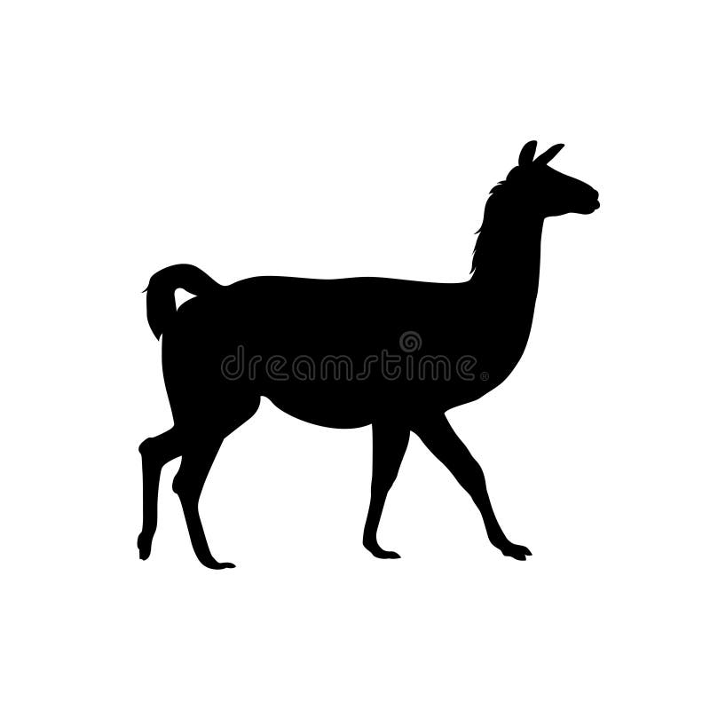 Alpaca vicuna, llama vector silhouette