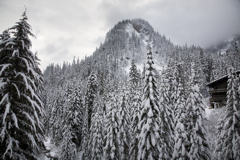 Alpental górskie loży narciarskie drzewa śnieżni Waszyngton fotografia stock