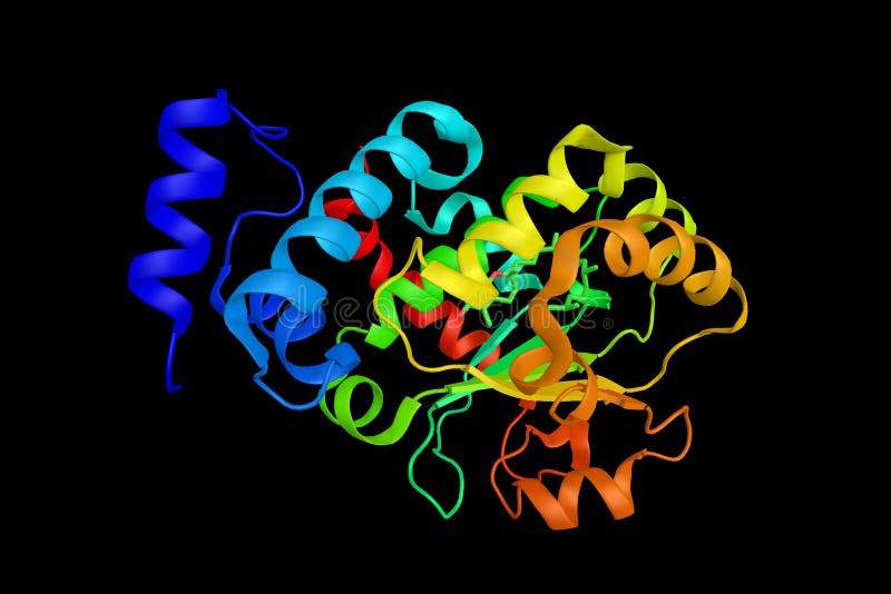 Alpha-tocopherol transfer protein, which transports its substrate between different intracellular membranes. 3d rendering