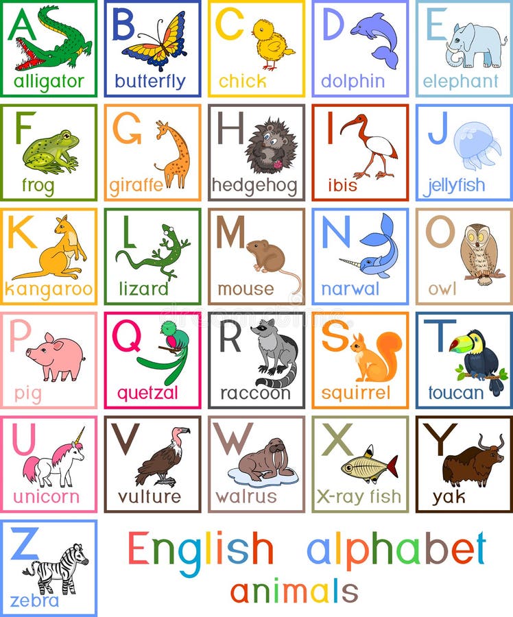 Alphabet Anglais Colore Avec Des Photos Des Animaux De Bande Dessinee Et Des Titres Pour L Education D Enfants Illustration De Vecteur Illustration Du Ramassage Multiples Alphabet Anglais Colore Avec Des Photos Des Animaux De Bande Dessinee Et Des Titres Pour L Education D Enfants Illustration De Vecteur Illustration Du Ramassage Multiples