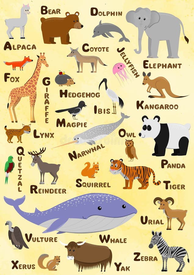 Alphabet and Animal Vector Set. Illustration. Education for Children,  Poster. Stock Vector - Illustration of safari, baby: 210983016