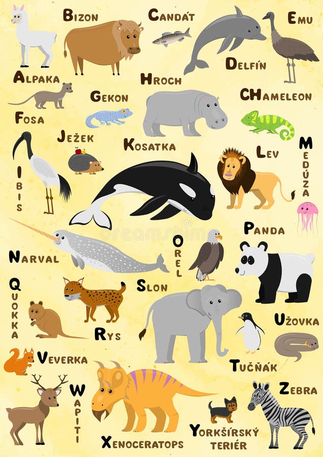 Alphabet and Animal Vector Set. Illustration. Education for Children, Poster. Stock Vector - Illustration of alpaca, alphabet: 228494602 Alphabet and Animal Vector Set. Illustration. Education for Children, Poster. Stock Vector - Illustration of alpaca, alphabet: 228494602