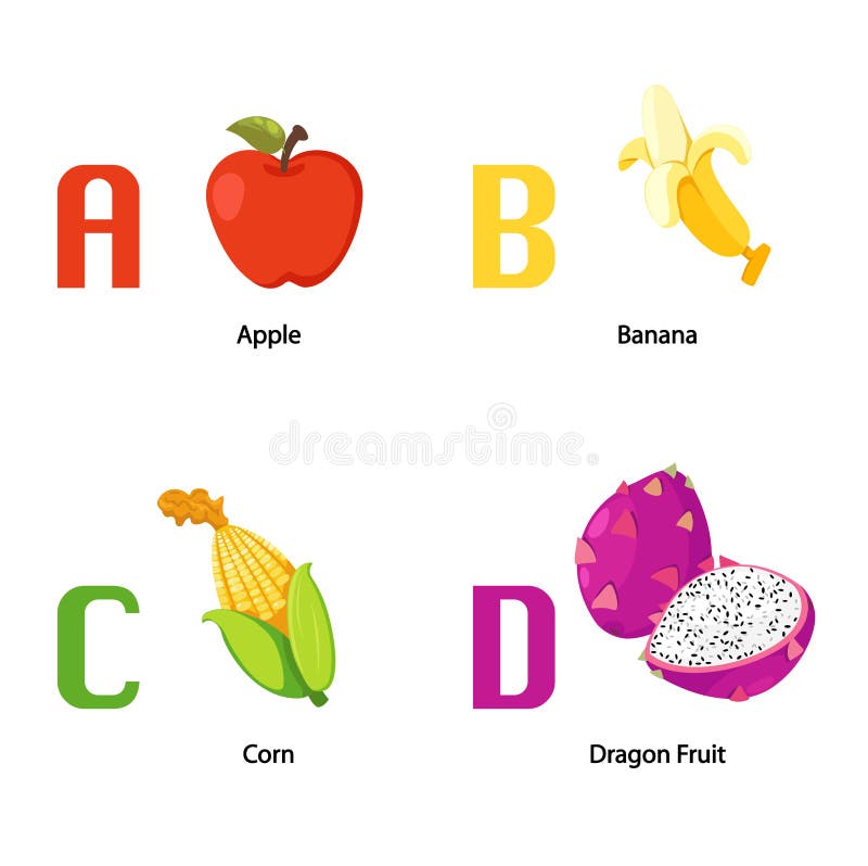 Dragon Fruit vector stock vector. Illustration of macro - 21603681