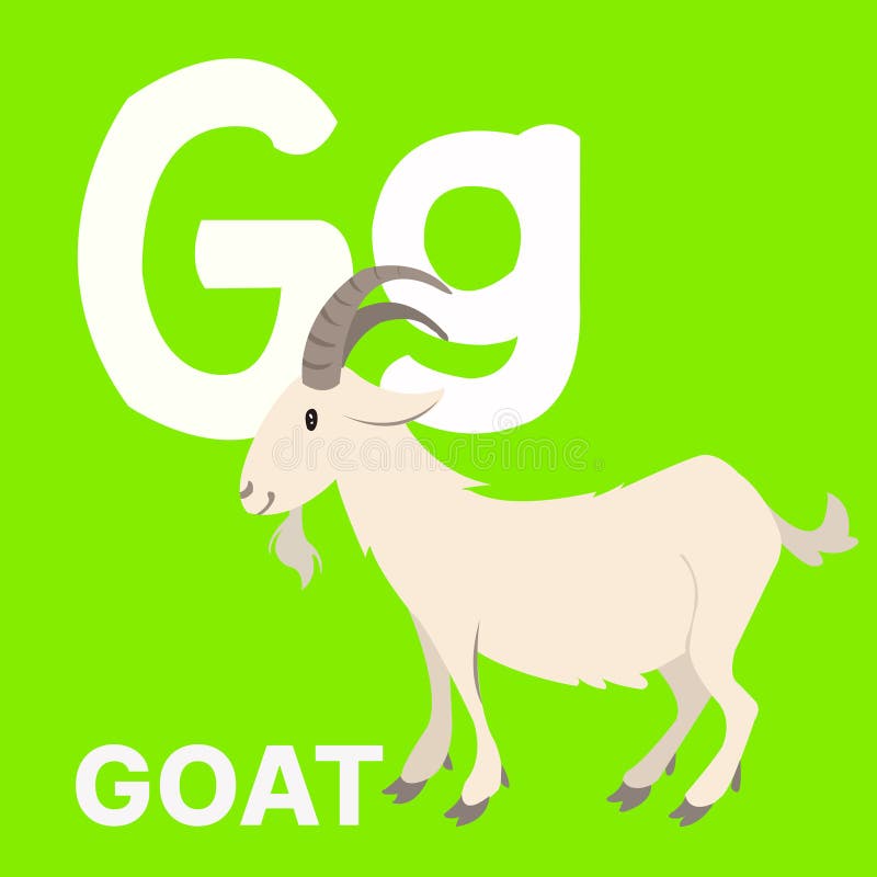 Alphabet Card For Children With The Letter G And A Goat