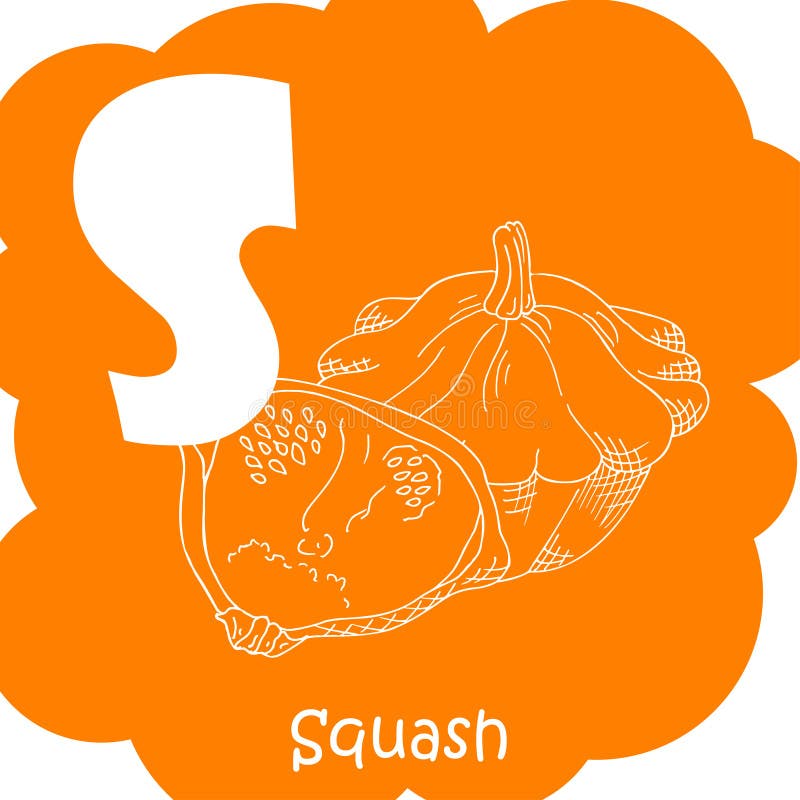 Alphabet for kids with vegetables. Healthy letter abc S-Squash