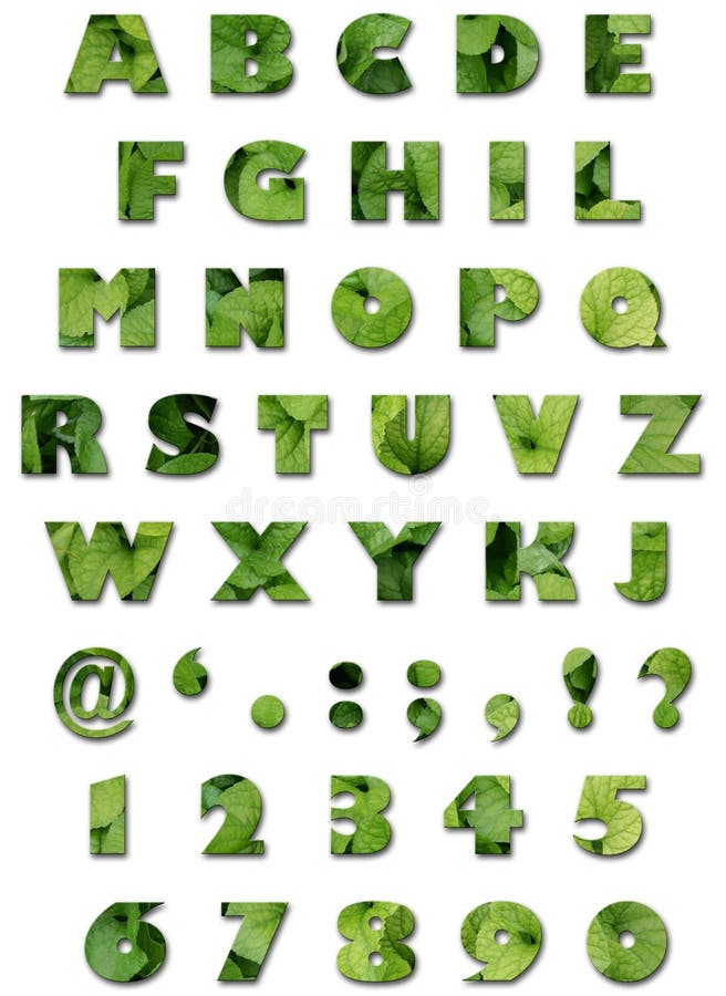 Alphabet - Leaves Texture - Green Summer
