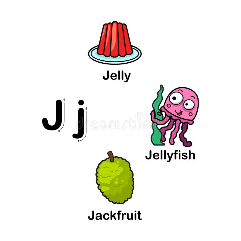 Jellyfish Vocabulary Part of Body.vector Stock Vector - Illustration of ...
