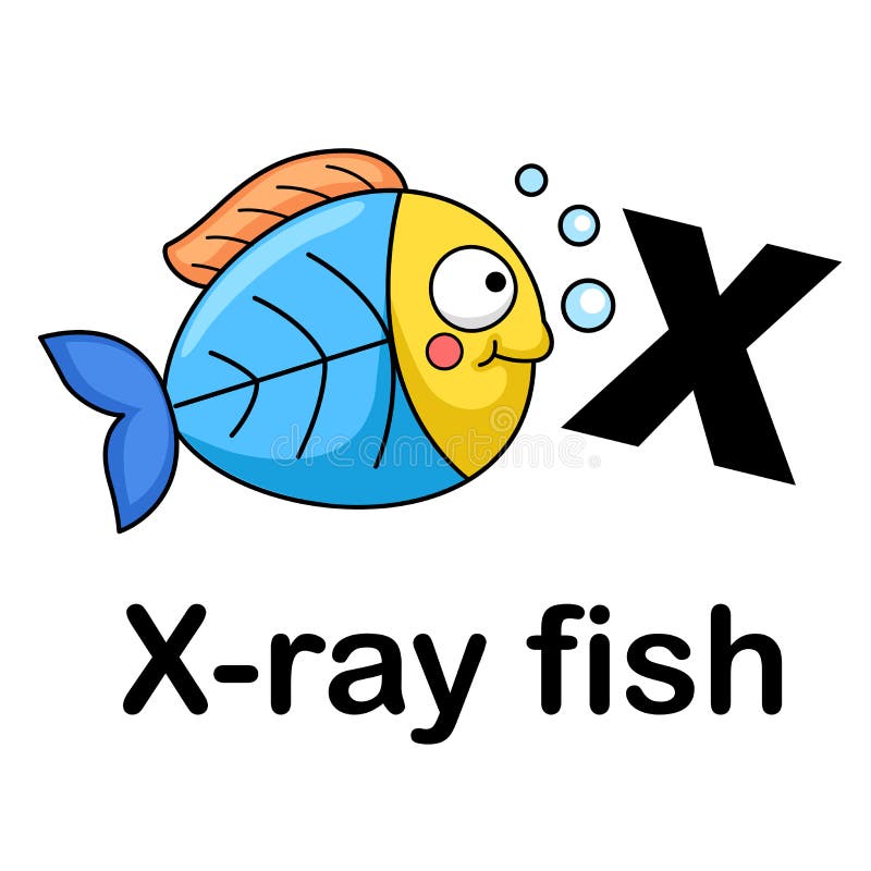 Alphabet Letter x-x ray fish