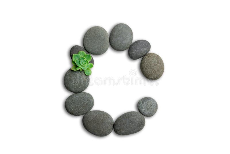 Alphabet letters made of beach stones or ocean stones with Sempervivum isolated on white background.Concept about ECO alphabet