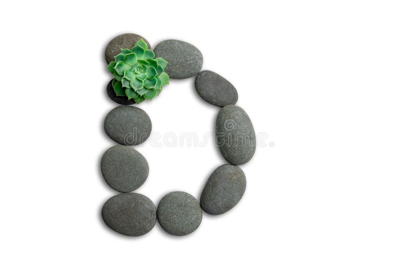 Alphabet letters made of beach stones or ocean stones with Sempervivum isolated on white background.Concept about ECO alphabet