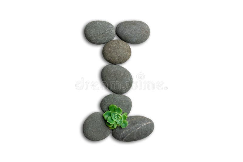 Alphabet letters made of beach stones or ocean stones with Sempervivum isolated on white background.Concept about ECO alphabet