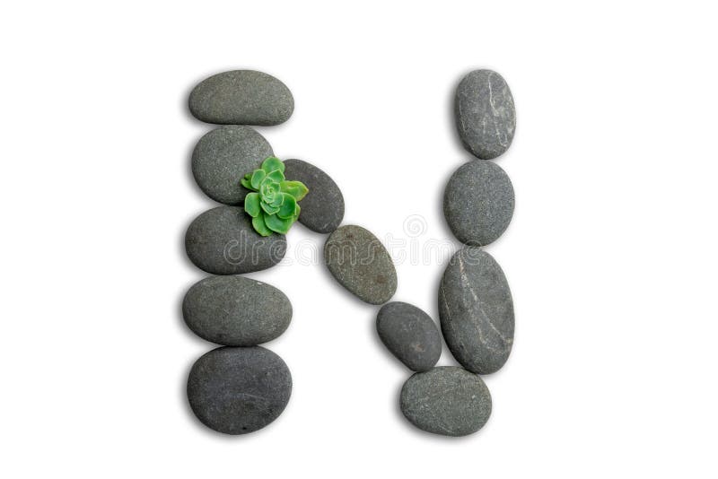 Alphabet letters made of beach stones or ocean stones with Sempervivum isolated on white background.Concept about ECO alphabet