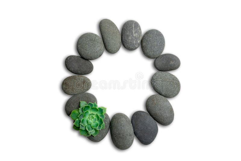 Alphabet letters made of beach stones or ocean stones with Sempervivum isolated on white background.Concept about ECO alphabet