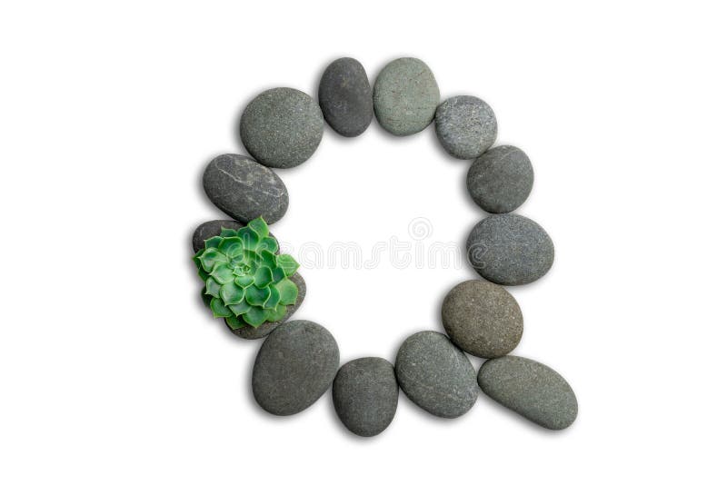 Alphabet letters made of beach stones or ocean stones with Sempervivum isolated on white background.Concept about ECO alphabet