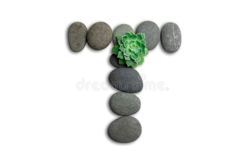 Alphabet letters made of beach stones or ocean stones with Sempervivum isolated on white background.Concept about ECO alphabet