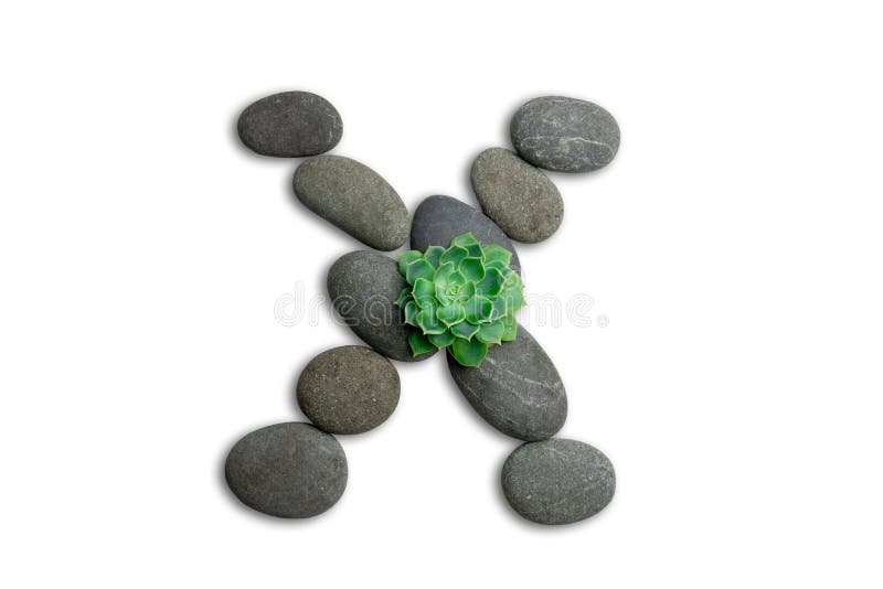 Alphabet letters made of beach stones or ocean stones with Sempervivum isolated on white background.Concept about ECO alphabet