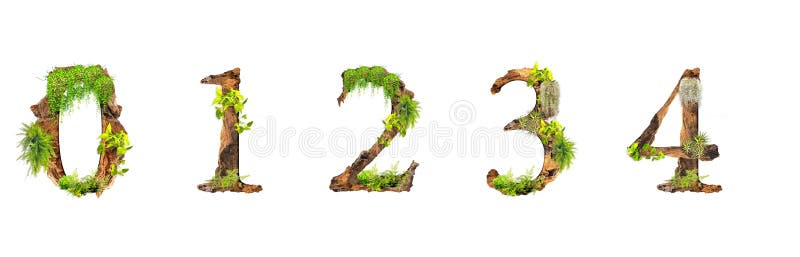 Alphabet wood and plants texture 0 1 2 3 4 isolated on white background.