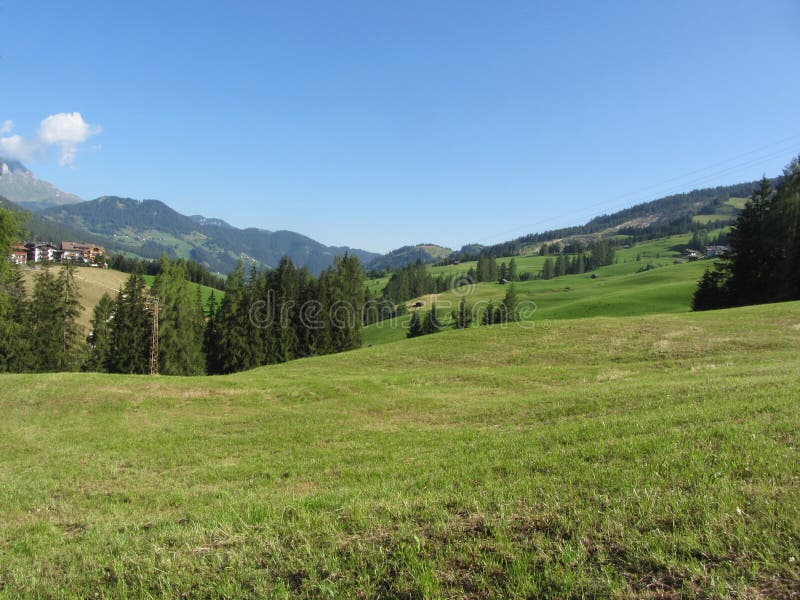 Alpien landschap met groene weilanden en sparren tegen Italiaans Dolomiet bij de zomer Weergeven van La-Villadorp, Bolzano stock afbeeldingen Alpien landschap met groene weilanden en sparren tegen Italiaans Dolomiet bij de zomer Weergeven van La-Villadorp, Bolzano stock afbeeldingen