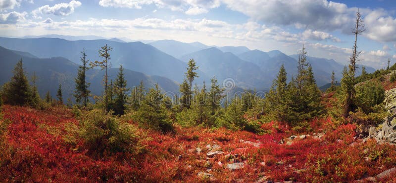 Alpine autumn in Gorgany