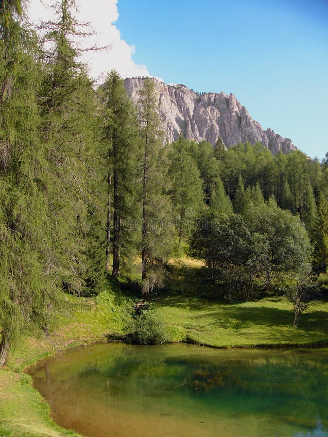 Alpine forest by lake Italy