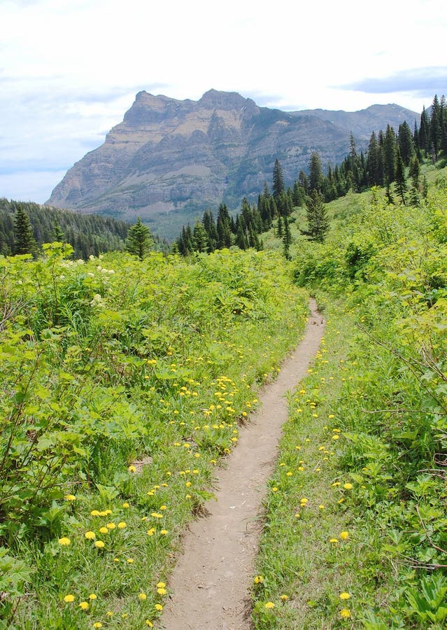 Alpine hiking trail