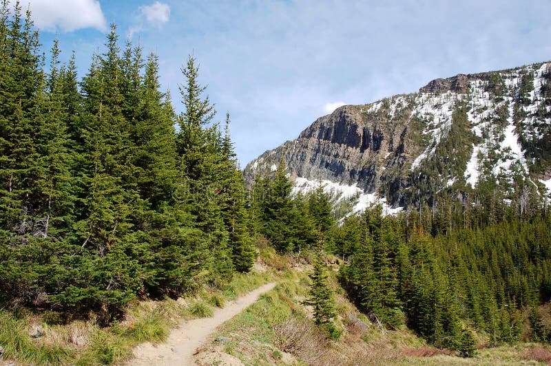 Alpine hiking trail