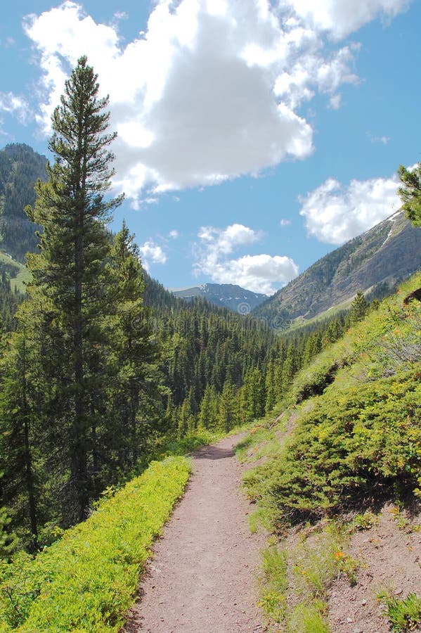 Alpine hiking trail