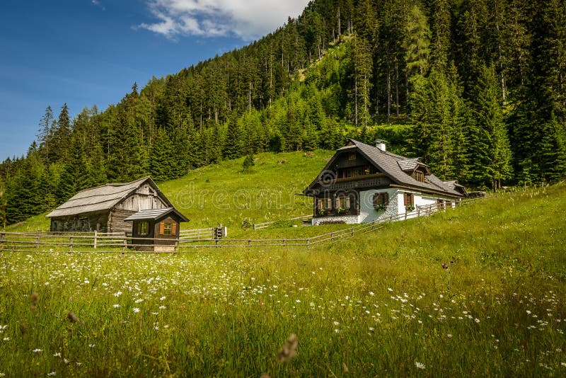 Alpine house