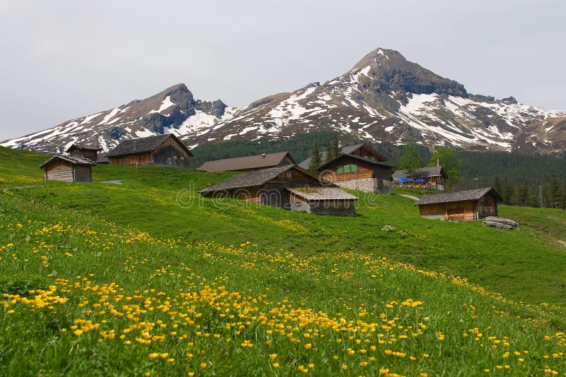 Alpine houses near Grindelwald