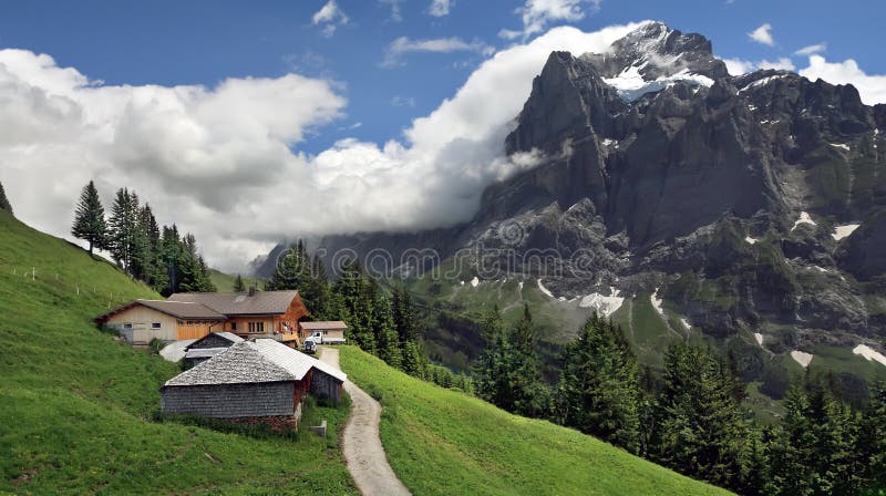 Alpine landscape with house on slope of mountain, Grindelwald - Switzerland