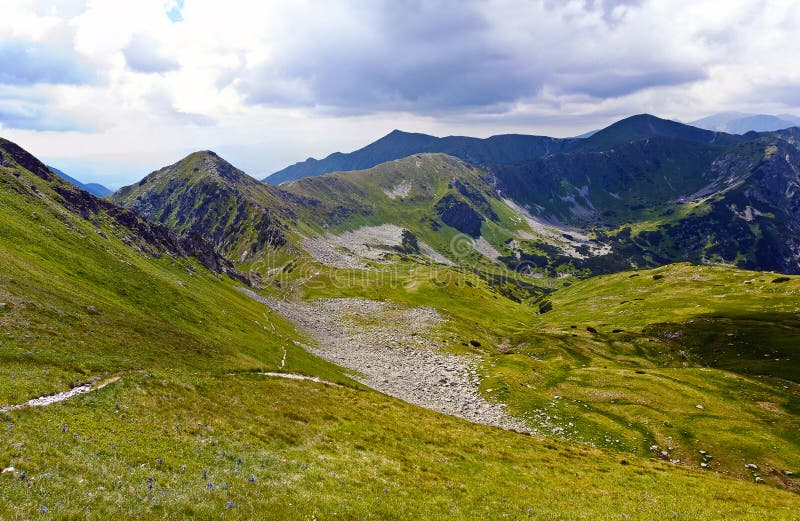 Alpine meadow stock photo. Image of open, forest, rocky - 15340096