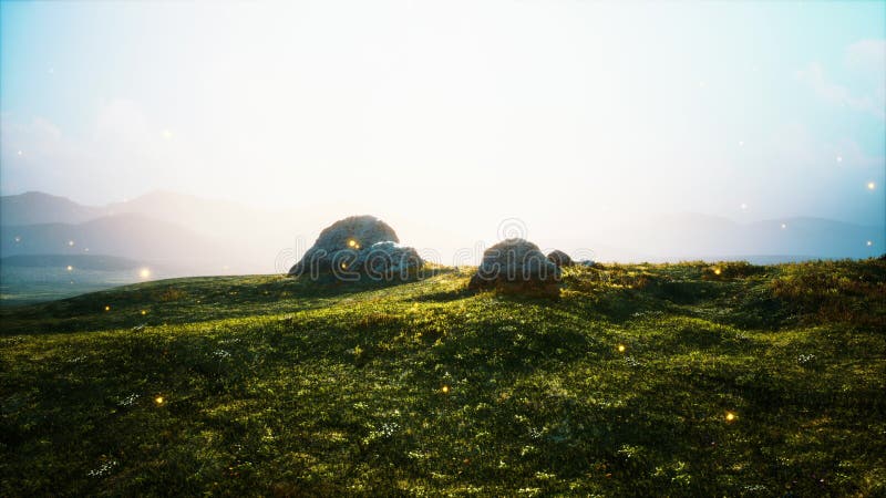Alpine meadow with rocks and green grass stock illustration