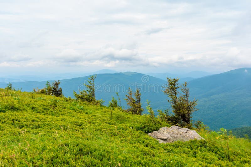 Alpine Meadows of Mnt. Runa, Ukraine Stock Photo - Image of majestic ...