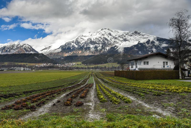 Alpine Meadows and Mountains on a Sunny Winter Day Stock Photo Image