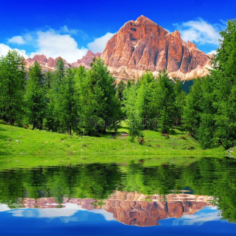 My Image 13