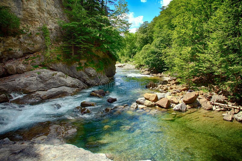 Alpine rill and mountaine forest in the National Park of Ordesa.