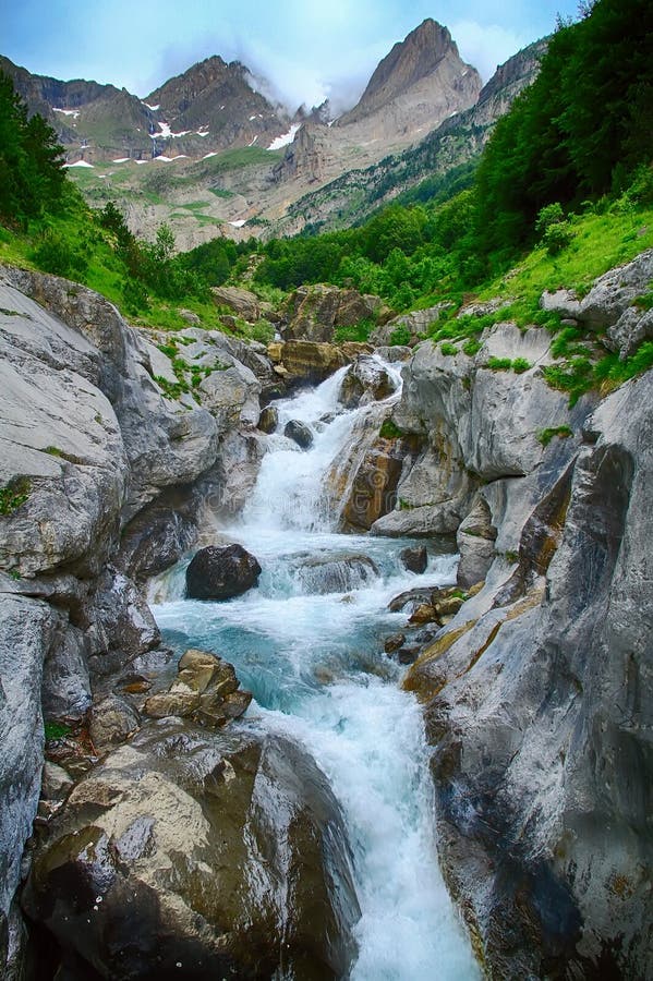 Alpine rill and mountaine forest in the National Park of Ordesa.