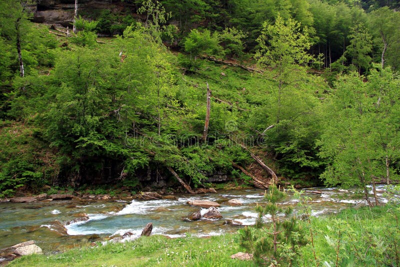 Alpine river in Ordesa National Park in Aragon, Spain. stock image Alpine river in Ordesa National Park in Aragon, Spain. stock image